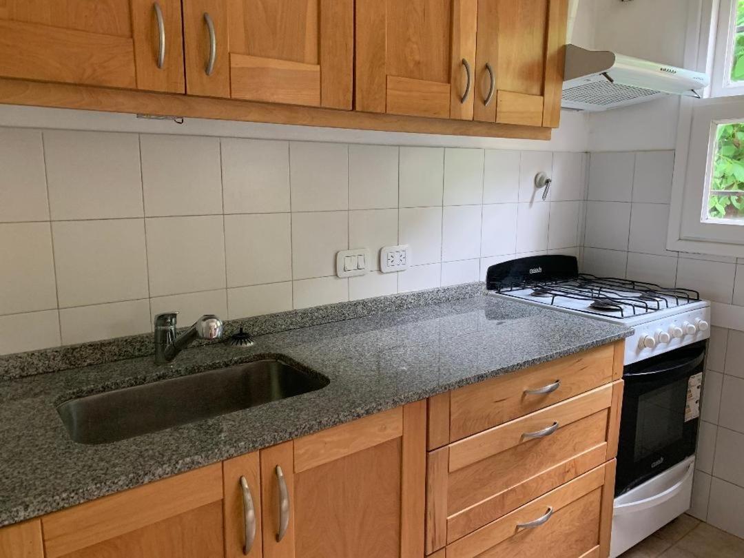 Departamento Centrico - 4 Personas Leilighet San Martín de los Andes Eksteriør bilde